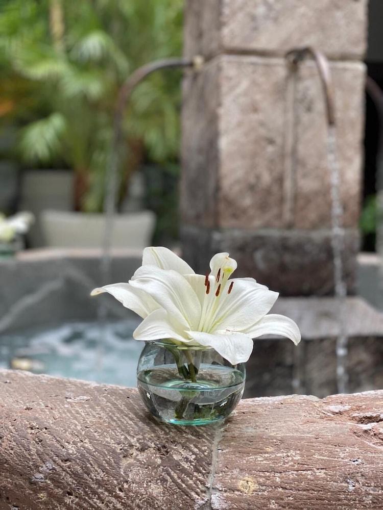 Hotel Boutique Hacienda Guadalupe San Miguel de Allende Kültér fotó